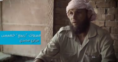 "الفاو" ترصد قصة نجاح مزارع مصرى فى زراعة العنب بعد تدريبه.. فيديو