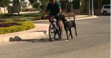 فيديو وصور.. "ميدو" يصطحب كلبه "الدانماركي العظيم" في جولة بالدراجة