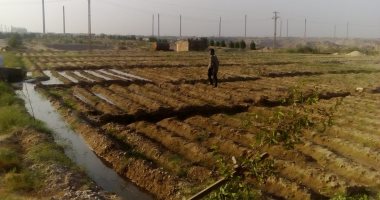 فيديو.. مواطن بالجيزة يطالب بفحص الأرض المخصصة لإنشاء محطة كهرباء جرزا لتعرضها للهبوط