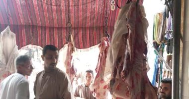 صور.. ضبط كمية من اللحوم مذبوحة خارج السلخانة فى حملة مكبرة بسوهاج