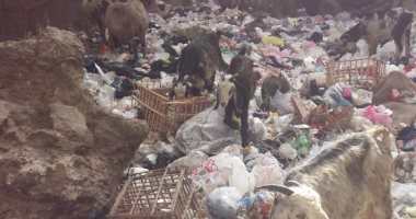 صور.. انتشار القمامة فى شارع مساكن كفر طهرمس ببولاق الدكرور