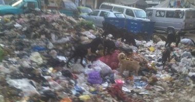 قارئ يشكو انتشار القمامة بمنطقة مصنع المكرونة بالعمرانية الغربية