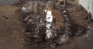 قارئ يشكو انتشار مياه الصرف الصحى بقرية القزاقزه بالدقهلية 