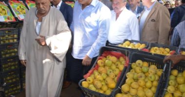 محافظ الغربية يتفقد سوق الجملة بطنطا ويوجه ببيع البطاطس بـ 5جنيهات للكيلو
