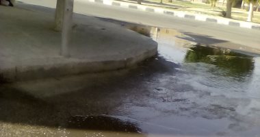 اضبط مخالفة.. مياه الصرف تحاصر أهالى المنطقة الثامنة بمدينة السادات