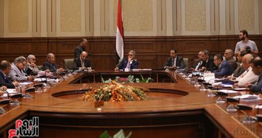 صور.. بدء اجتماع "محلية البرلمان" بحضور عمر مروان واعتذار محافظ السويس (تحديث)