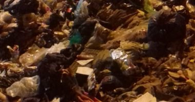 قارئ يشكو انتشار القمامة بشارع أحمد زياده كفر الشرفا بمنطقة المرج
