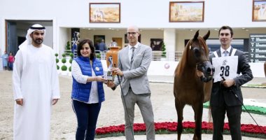 نائب وزير الزراعة: مذكرة تفاهم مع الإمارات لبناء مستشفى للخيول بمصر