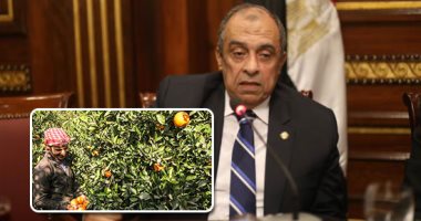 وزير الزراعة يعلن فتح الأسواق الصربية أمام الموالح والبطاطس والعنب