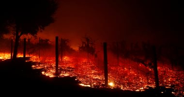 جحيم كاليفورنيا.. حرائق الغابات تتحول إلى كتل عملاقة من اللهب.. (صور)
