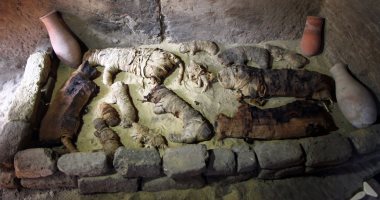 اكتشاف أكبر مقبرة لمومياوات الحيوانات فى منطقة سقارة