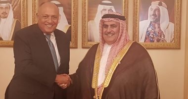 سامح شكرى يبحث مع وزير خارجية البحرين آليات العمل العربى المشترك