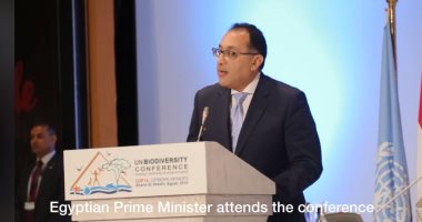 متحدث الوزراء: الشركات الأجنبية تتزاحم لإيجاد موطئ قدم للاستثمار بمصر