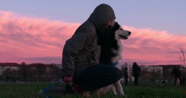 Netflix تطرح مسلسل "Dogs" وتوجه رسائل إنسانية عبر أحداثه