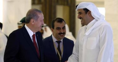 "قطريليكس" تكشف الأسباب التى دعت قطر لدعم العدوان التركى على سوريا