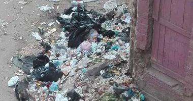 اضبط مخالفة.. القمامة تحاصر الشوارع الرئيسية بمدينة زفتى بالغربية