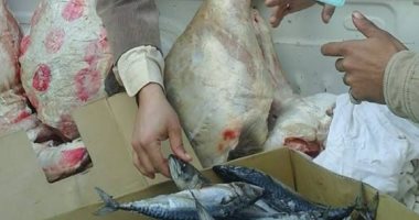 ضبط طن دواجن مذبوحة خارج المجازر وأسماك غير صالحة للاستهلاك بكفر الشيخ