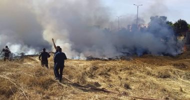 صور.. السيطرة على حريق داخل الجبانة الفاطمية الأثرية بمدينة أسوان