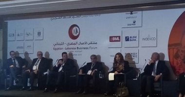رجل أعمال لبنانى: فرص الصناعة والاستثمار متاحة بقوة فى مصر 