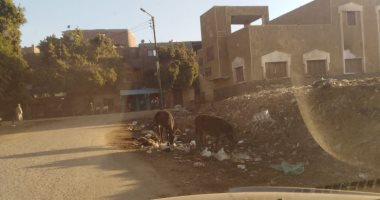 قارئ يشكو محاصرة القمامة لمجمع مدارس أولاد نصير فى سوهاج ويناشد برفعها