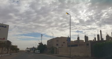 سقوط 4 أعمدة إنارة بإحدى قرى الدقهلية يعيق طريق المواطنين