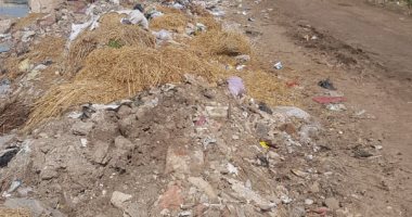 قارئ بقرية الأرنب بكفر الشيخ يطالب بتوفير صناديق للقمامة