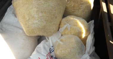 تقرير مفتش الأغذية: الجبنة الموزاريلا المضبوطة فى الطالبية منتهية الصلاحية