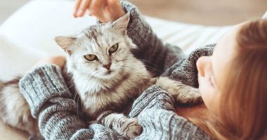 بتربى حيوانات أليفة..اعرف أسباب حساسية القطط وأعراضها وعلاجها