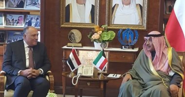 وزير خارجية الكويت: محورية دور مصر دعامة رئيسية لأمن واستقرار المنطقة العربية