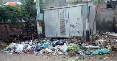 قارئ يشكو استمرار تراكم القمامة بقرية ميت خميس بمحافظة الدقهلية