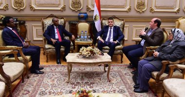 سفير جيبوتى: منح القاهرة مليون متر مربع لإقامة منطقة لوجستية وتصدير المنتجات لأفريقيا