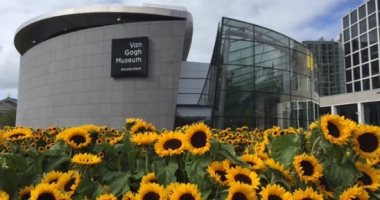 متحف فان جوخ بأمستردام.. أكثر من 100 ألف زهرة عباد الشمس تحوله للوحة فنية