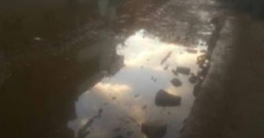 قارئ يشكو انتشار مياه الصرف الصحى بقرية المحمودية بالشرقية