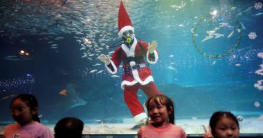 صور.. بابا نويل يسبح مع الأسماك فى احتفالات كوريا الجنوبية بالكريسماس