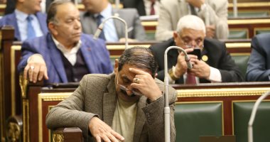 البرلمان يحيل مشروعات قوانين للجان النوعية أبرزها صندوق رعاية المصريين بالخارج.. صور