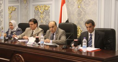 "آخر تطورات الأوضاع فى ليبيا".. على طاولة لجنة الشئون العربية بالبرلمان اليوم