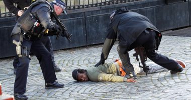 صور.. الشرطة البريطانية تعتقل رجلا حاول اقتحام قصر ويستمنستر
