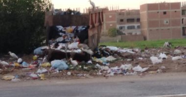 شكوى من تراكم القمامة فى شارع سيتى بمدينة سوهاج  