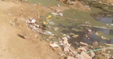 صور.. شكوى من انتشار القمامة ومياه الصرف فى شوارع مؤسسة الزكاة بالمرج 