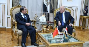العصار يبحث مع سفير الصين تصنيع السيارات الكهربائية فى مصر