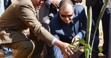 محافظة أسوان تطلق فعاليات الحملة الزراعية لزراعة 3 الاف شجرة بمدارس المحافظة