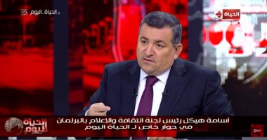 أسامة هيكل: بعض موظفى الوزارات أقوى من الوزراء