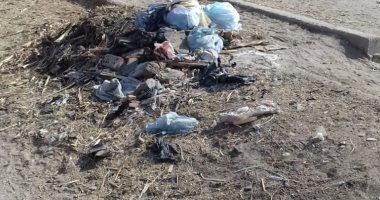 قارئ يشكو انتشار القمامة  بمركز ساقلته بمحافظة سوهاج
