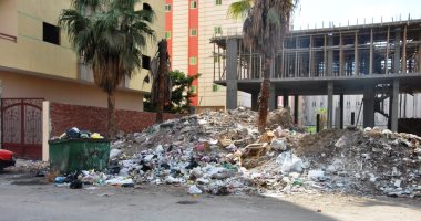 صور.. انتشار القمامة بالإسماعيلية.. ورئيس المدينة: نحاربها بحملات مكثفة