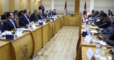 مصر تؤكد دعمها الكامل لأمن واستقرار السودان باعتباره جزءا من الأمن القومى