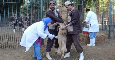 صور.."الزراعة": حملة تحصينات للغزال بحديقة حيوان الجيزة ضد طاعون المجترات