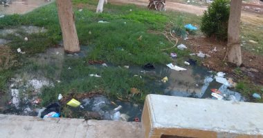 قارئ يشكو انتشار القمامة وتكرار أعطال المياه لرى الحدائق بمدينة بدر