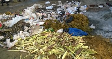 شكو ى من انتشار القمامة والحيوانات النافقة فى منطقة المدبح بالسيدة زينب