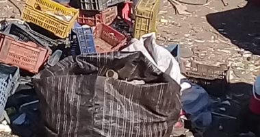 قارئ يشكو من انتشار القمامة بقرية بناويط بمحافظة سوهاج