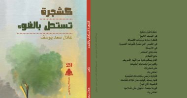 هيئة الكتاب تصدر "كشجرة تستدل بالضوء" للكاتب السودانى عادل سعد يوسف